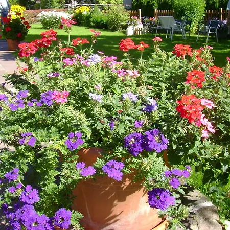 Haus Brigitte Maison d'hôtes Fuschl am See