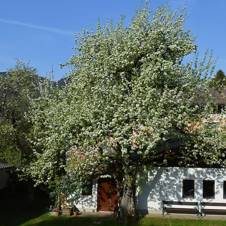 Maison d'hôtes Haus Brigitte