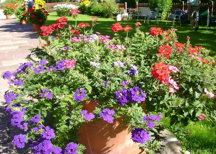 Haus Brigitte Gæstehus Fuschl am See